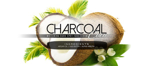 CHARCOAL COCO LLC logo